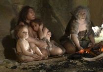 Исследователи из Испании обнаружили останки неандертальского ребенка, обладающего рядом черт, характерных для синдрома Дауна.