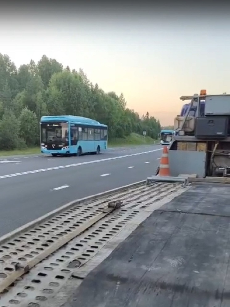 Голубые автобусы «Транс-Балта» покинули Петрозаводск