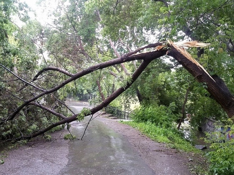 Ураганный ветер сносит деревья и крыши в Свердловской области