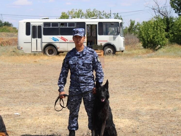 В УФСИН Калмыкии детям показали служебных собак