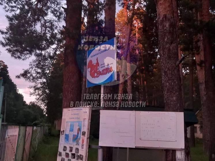 В Пензенском лагере «Белка» произошло массовое отравление детей