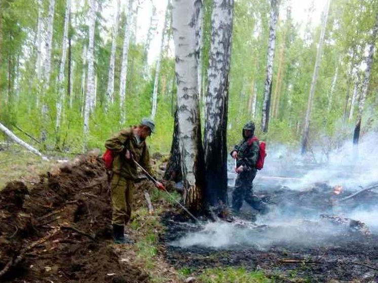 Три старых и один новый пожар потушили в лесах Приангарья за сутки