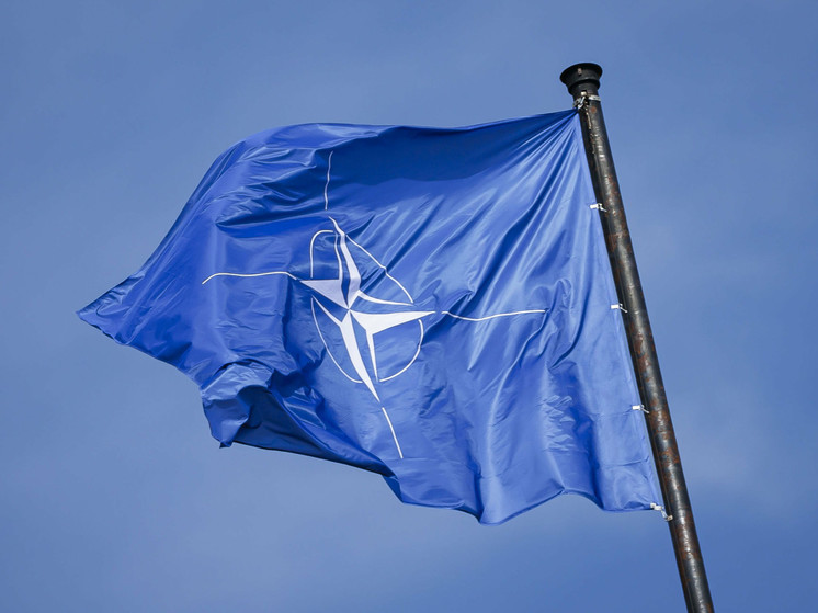 Профессор Кузник: действия НАТО против России могут привести к чудовищным последствиям