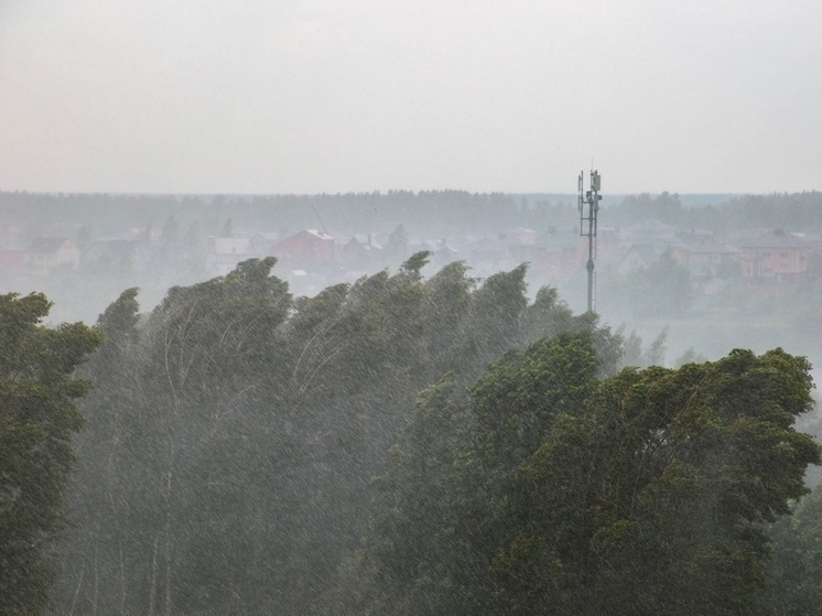 29 июня в Тверской области ожидаются гроза, сильный дождь и ветер