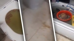 Появилось видео, как квартиру в Новосибирске топят фекалии