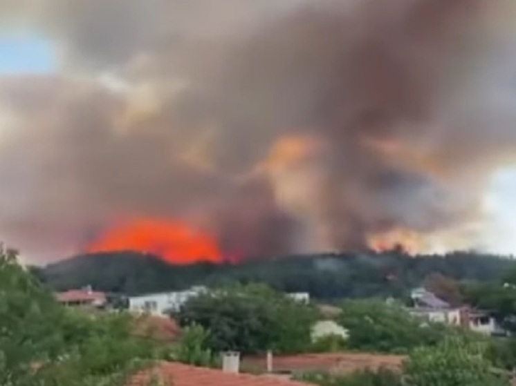 CNN Turk: крупные пожары тушат в провинциях Турции