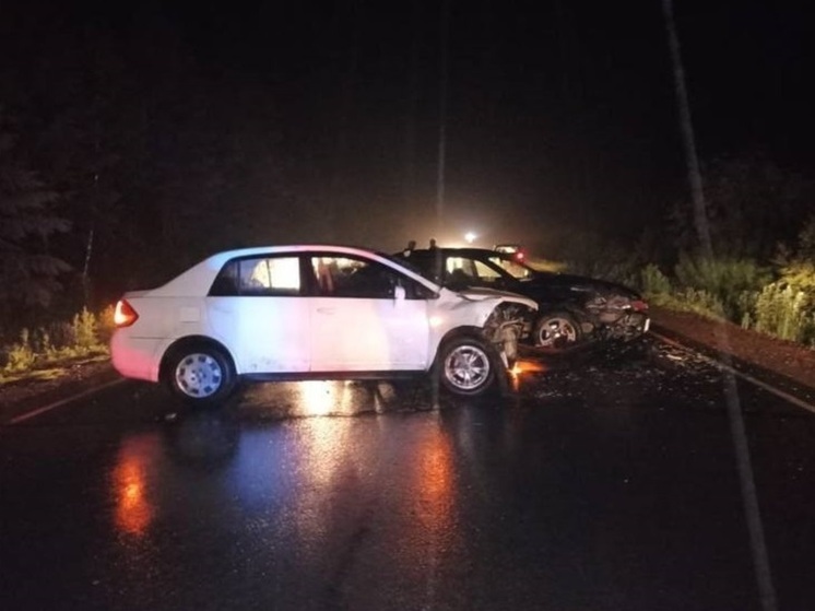 Пьяный водитель устроил ДТП в Совгаванском районе Хабаровского края