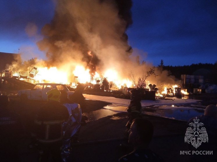 В Нижнем Новгороде произошел пожар на площадке по утилизации отходов