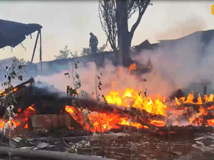 В Генической горке на Херсонщине горела неработающая база отдыха