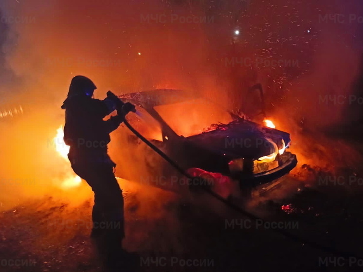 В Вяземском районе сгорел автомобиль