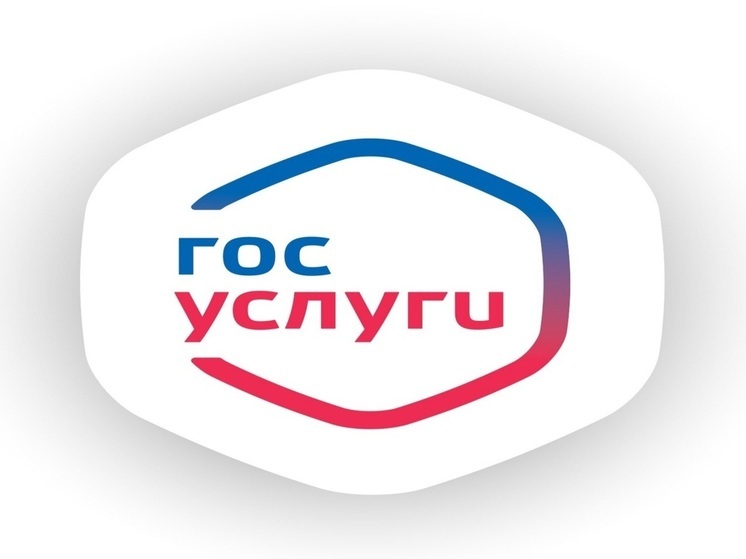 С помощью госуслуг пензенцы смогут подать заявление в колледж