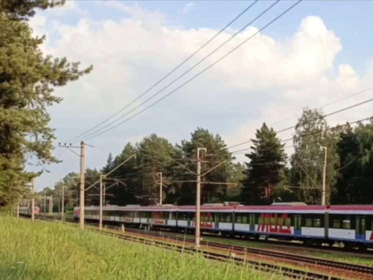 Отец и сын чудом не попали под "Иволгу" в Раменском округе