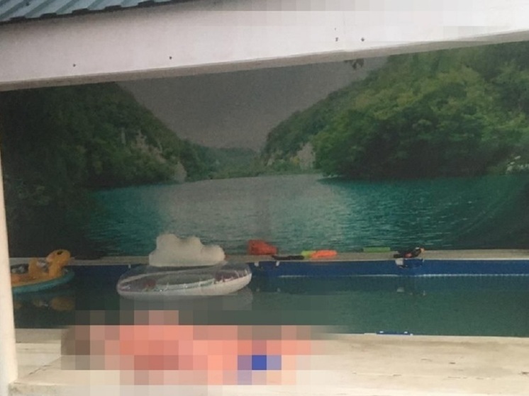 СКР: обстоятельства гибели мальчика в бассейне на даче выясняют следователи