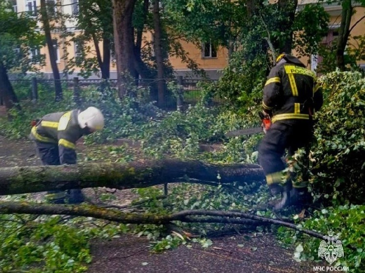 Последствия непогоды в Новгородской области помогли ликвидировать спасатели