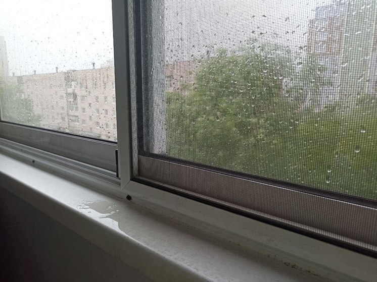 В Калининградской области объявили наивысший уровень погодной опасности