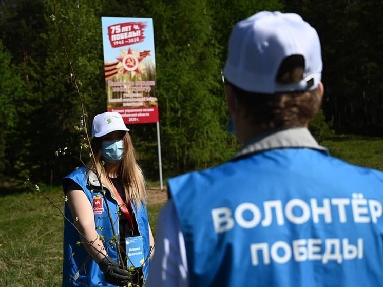 Челябинская область получит более 7 миллионов на поддержку добровольчества