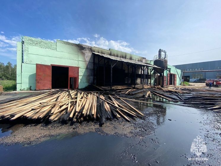 Пиломатериал загорелся в Томске днем 30 июня