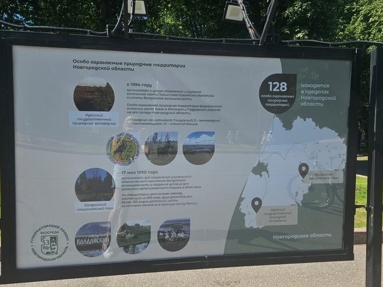 В Новгородском Кремле появились экологические инфостенды