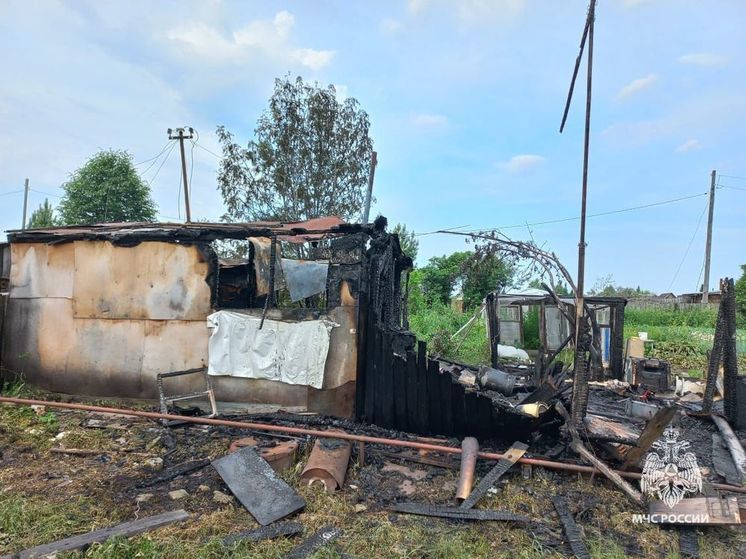 В Томском районе во время пожара в дачном доме погиб мужчина