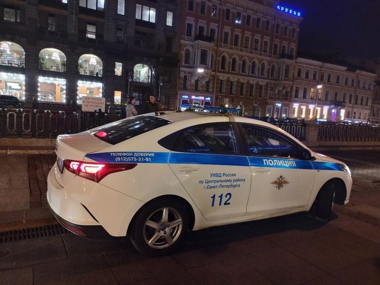 Девять человек задержали в Петербурге после избиения двух женщин