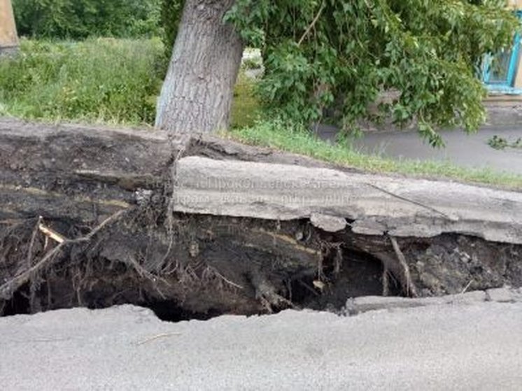 В сибирском городе ураган вырвал дерево вместе с асфальтом