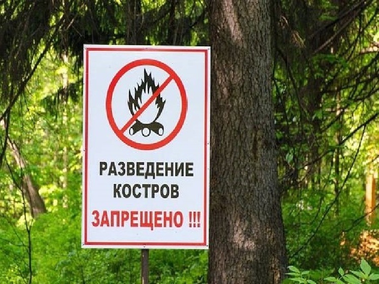 В предгорьях и горах Сочи объявлено штормовое предупреждение по высокой пожароопасности