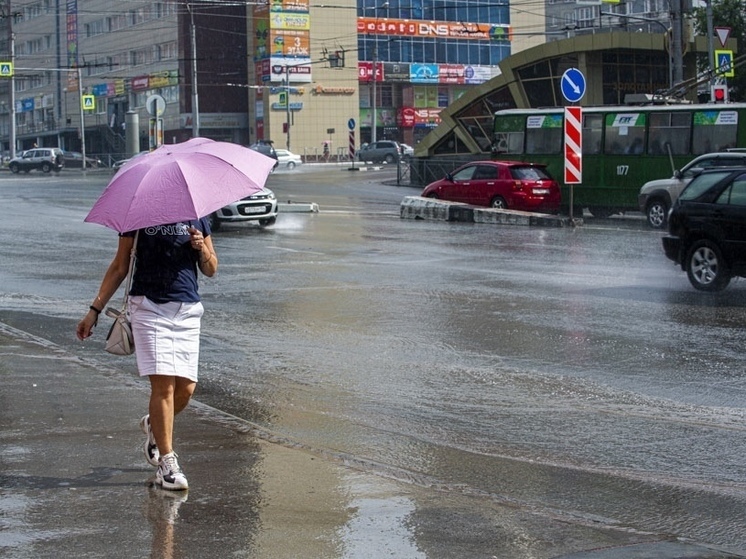 Череда дождливых дней с грозой ожидается в Новосибирске на этой неделе