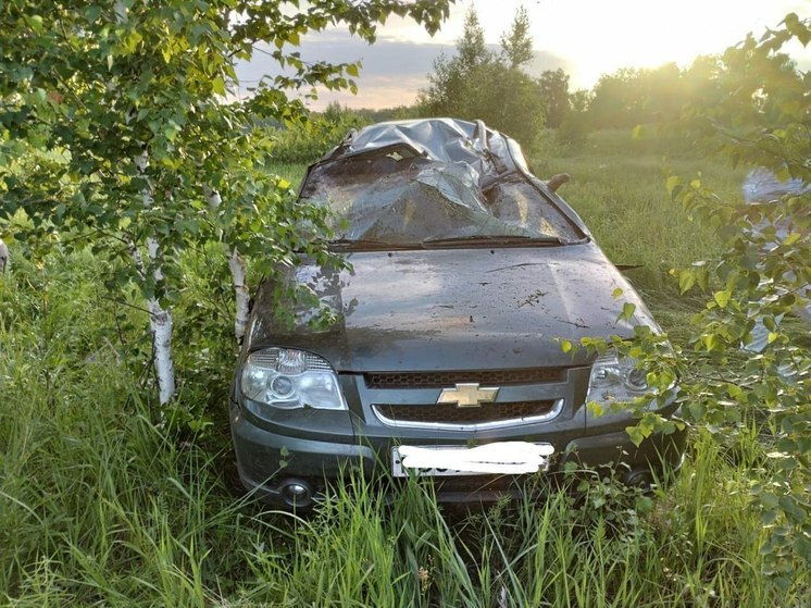 В Чановском районе водитель «Шевроле Нива» погиб после опрокидывания в кювет