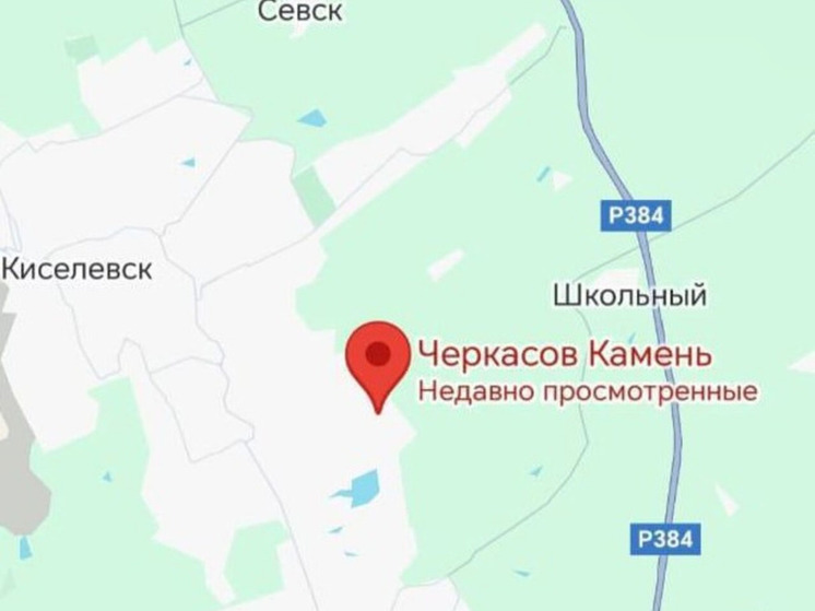 В Кузбассе под пассажирским поездом погиб человек