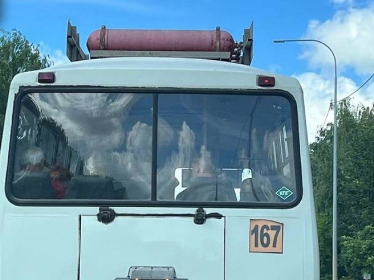 В Орловской области в работе дачного маршрута нашли нарушения