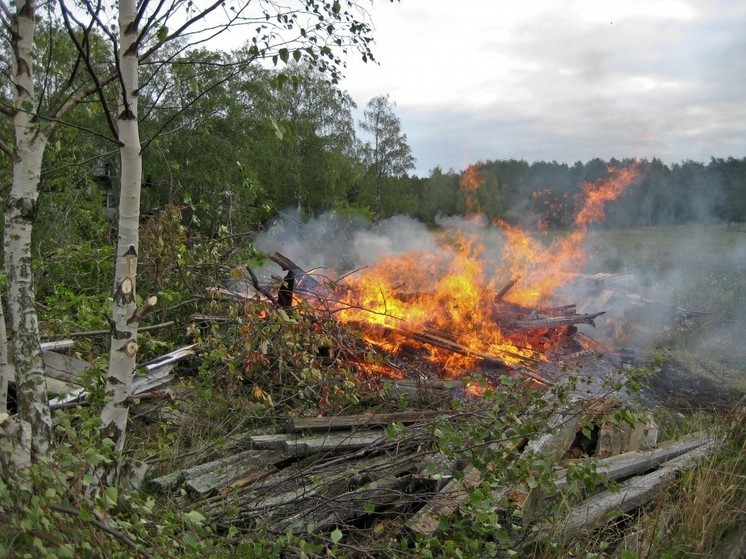 В лесах Ленобласти за два месяца произошло 69 пожаров