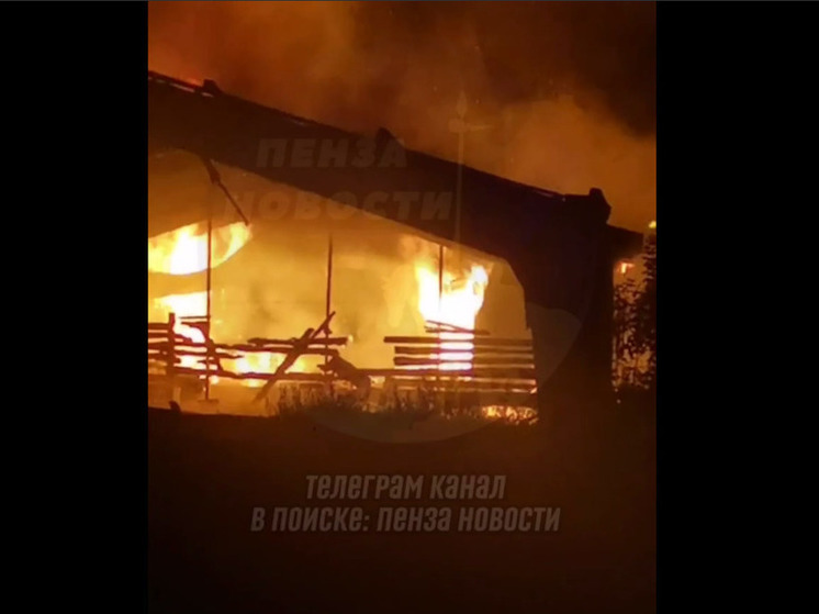 Ночью в Пензенской области загорелась пилорама