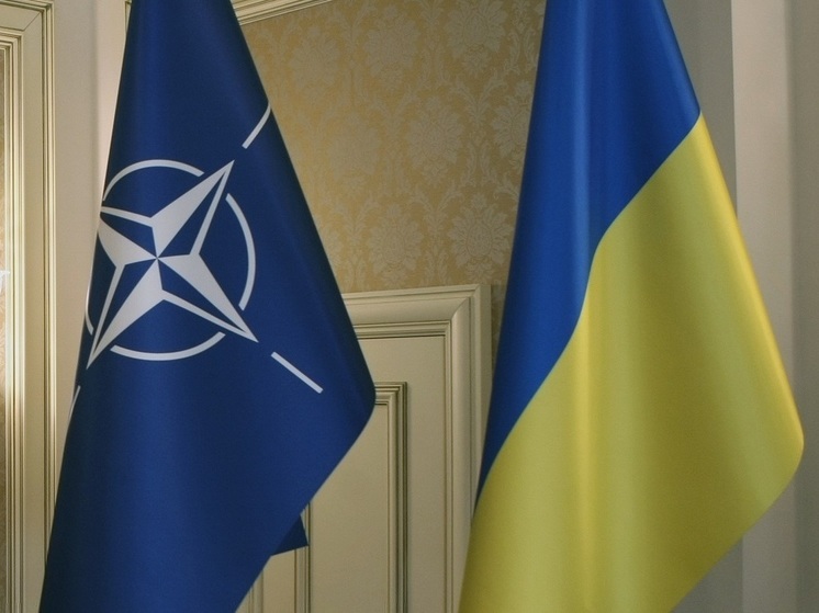 Политолог Грэм: Украина может остаться нейтральной и получать военную и разведывательную помощь НАТО