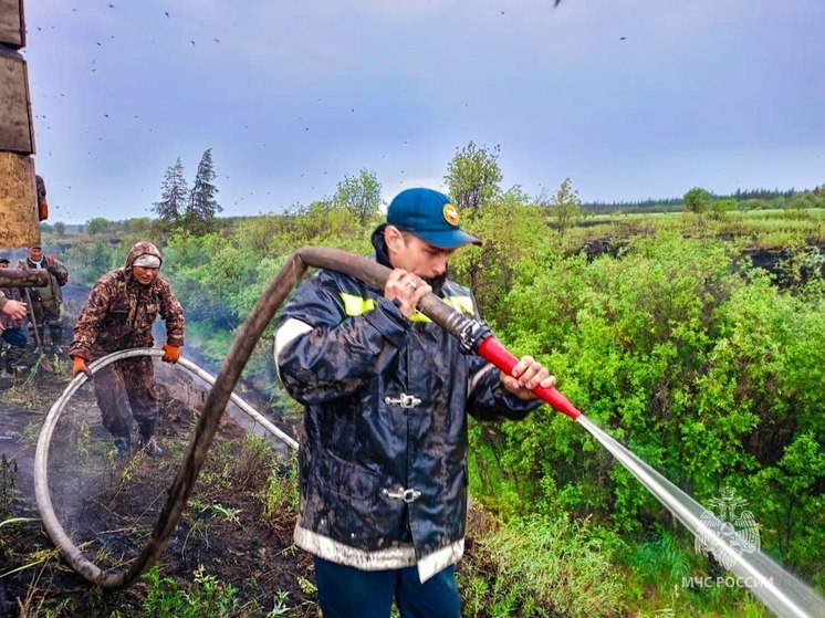 В Якутии действует программа поощрения граждан за помощь в выявлении виновников в лесных пожарах