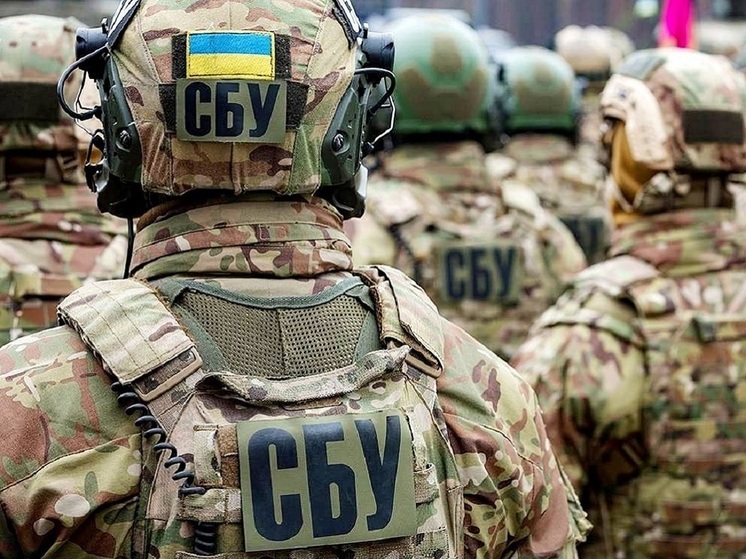 СБУ: задержана группа «общественных активистов», планировавших захватить здание Верховной рады Украины 30 июня