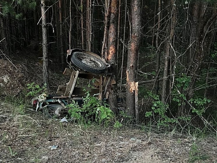 Мотоциклист на «Урале» погиб, врезавшись в дерево в Томской области