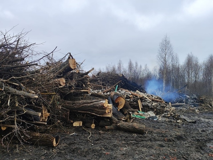 В Гусь-Хрустальном районе прокурор добивается ликвидации свалок