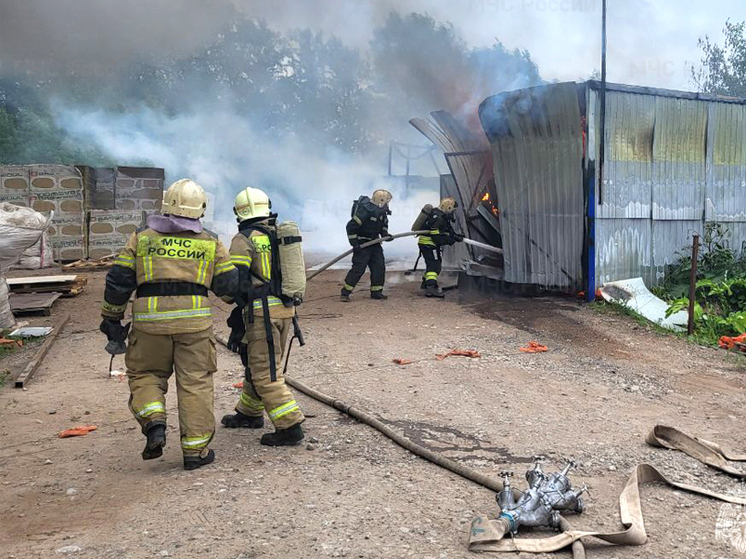 За неделю при пожарах в Кировской области погибли три человека