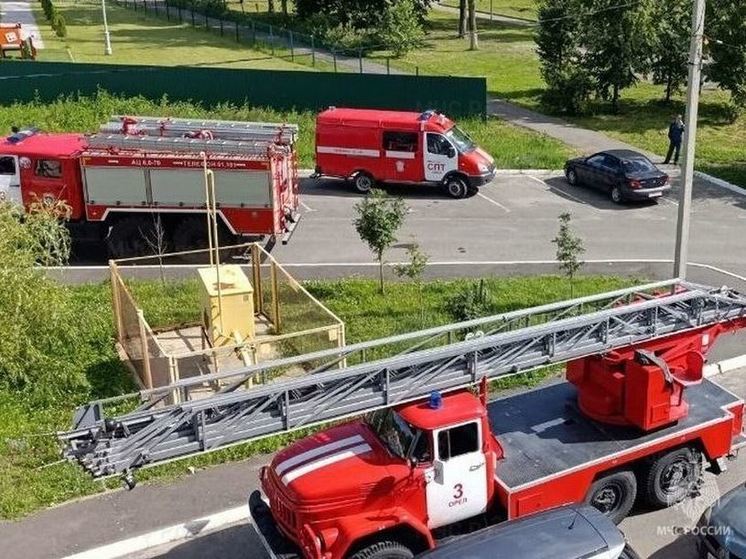 В Орловской области пожарные защитили от огня жилой дом