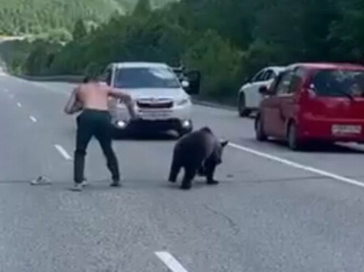  В Иркутской области медведь чуть не украл тапки у мужчины
