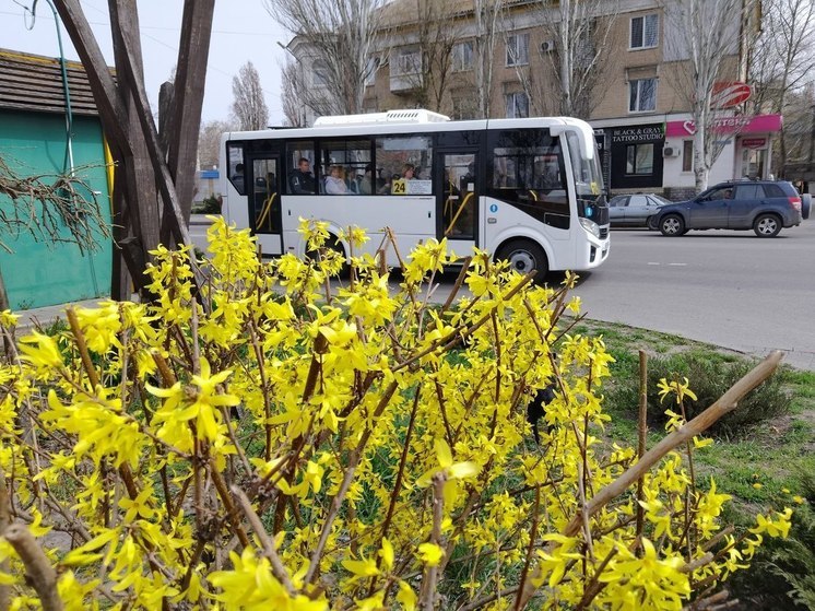 В Запорожской области проверят общественный транспорт