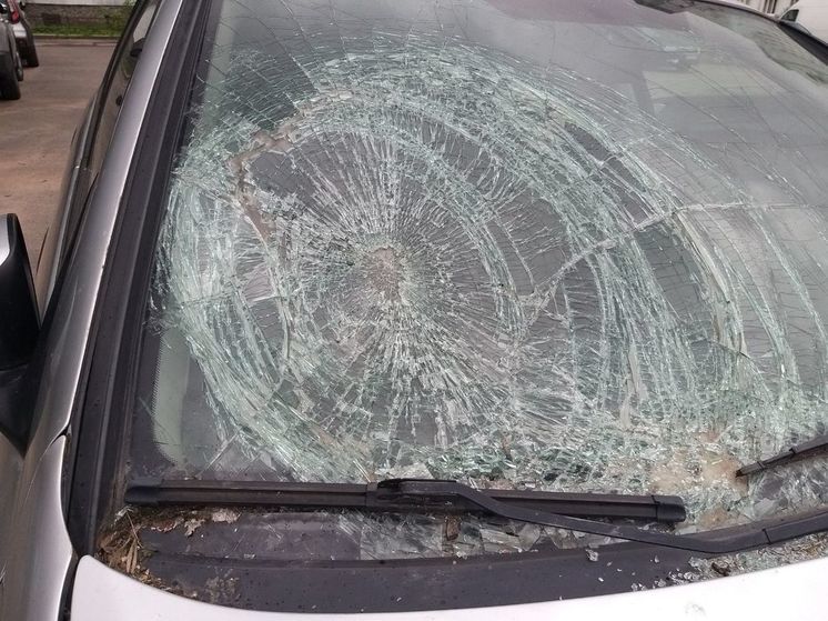 Авто петербуржца лишилось заднего стекла из-за взорвавшегося аэрозоля от комаров