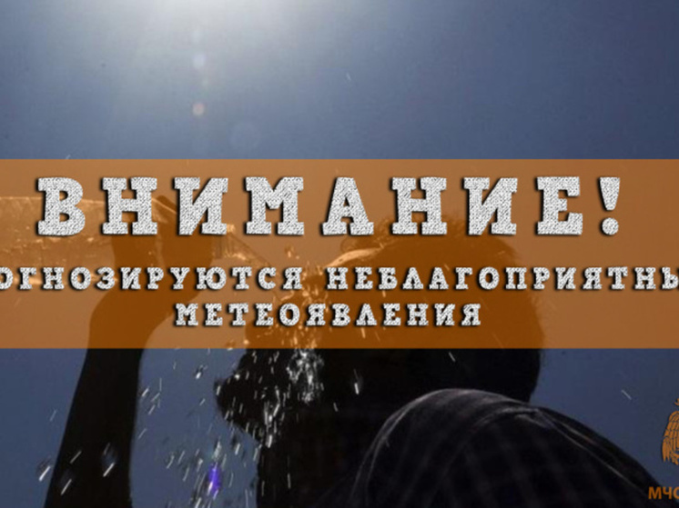 МЧС по Нижегородской области: на регион надвигается жара