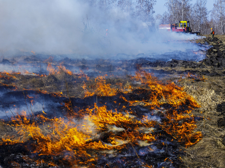 В Челябинской области за месяц при пожарах погибли пять человек