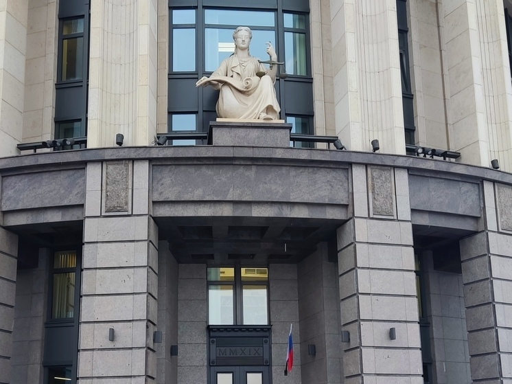 Суд оштрафовал на 50 тысяч рублей скандальную школу в Василеостровском районе