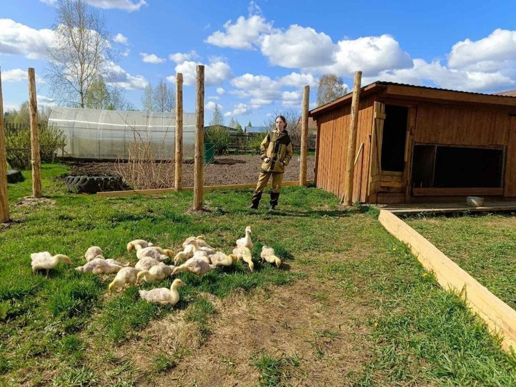Тюменская школьница получила 100 тысяч рублей на бизнес по разведению гусей
