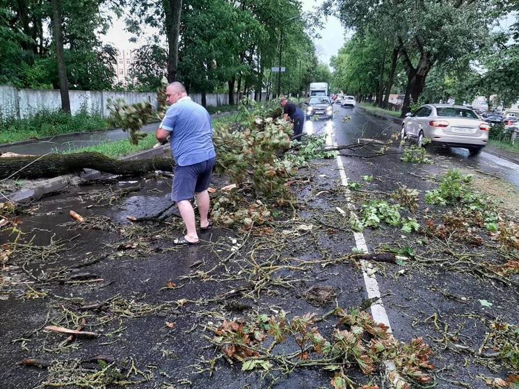 Городские службы Пскова оперативно ликвидируют последствия сильного ливня и ветра