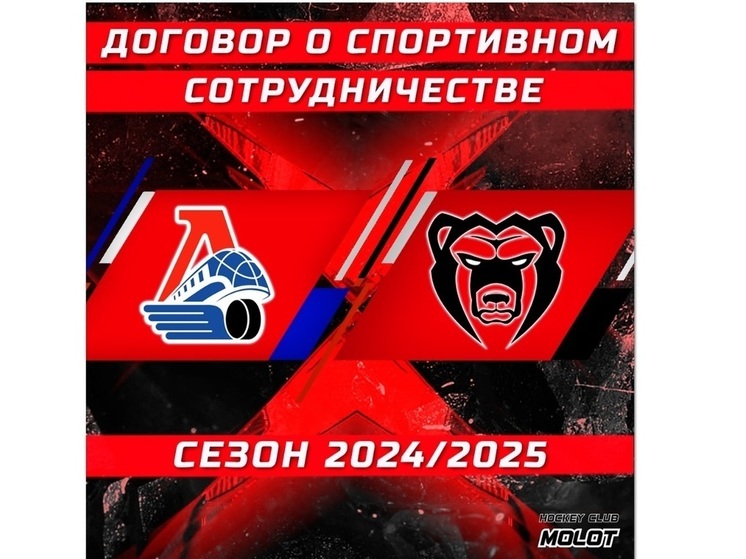 Ярославский «Локомотив» определился с фарм-клубом