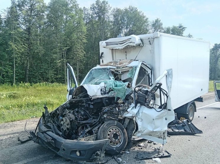 Водитель грузовика погиб после столкновения с «Камазом» на калужской трассе
