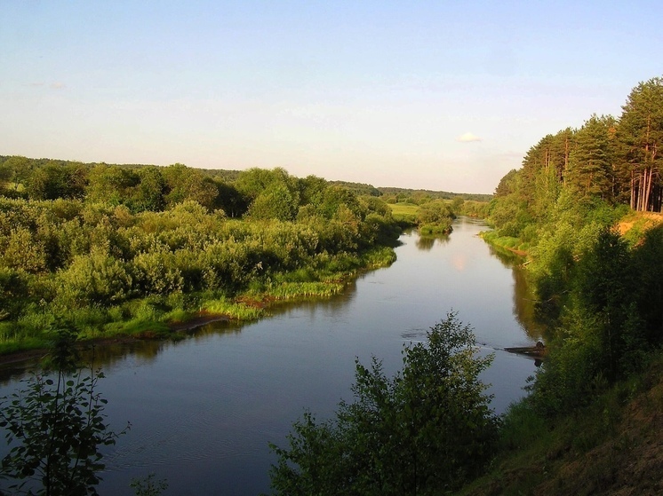 Два дня жары: в Тверской области действует «оранжевый» уровень опасности